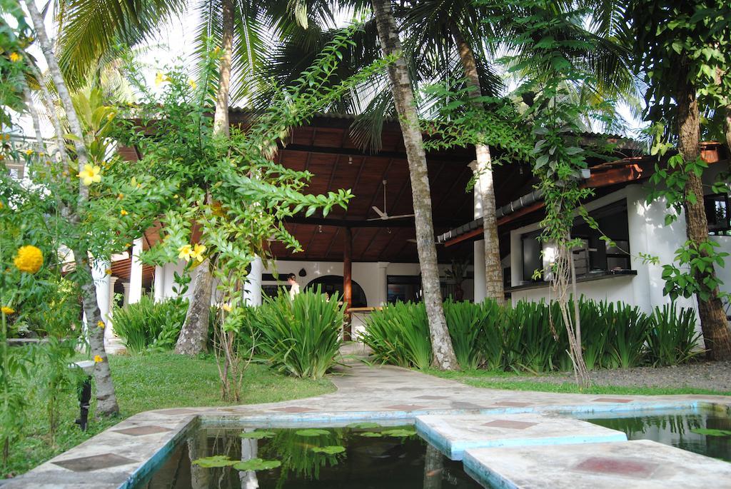 Paradise Garden Unawatuna Ngoại thất bức ảnh
